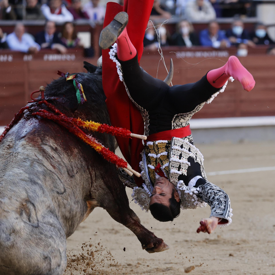 El diestro Emilio de Justo es cogido por el toro durante la corrida del Domingo de Ramos celebrada esta tarde en el coso taurino de Las Ventas, en Madrid.