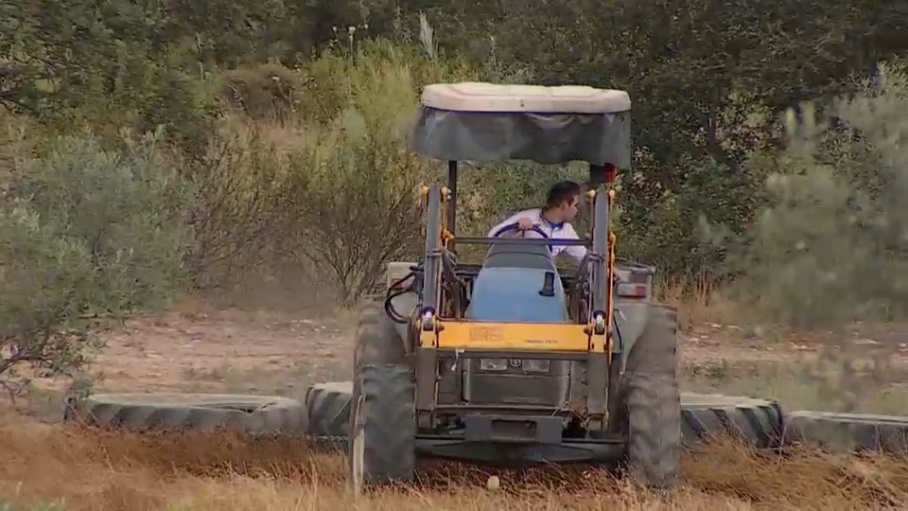 Joven agricultor con tractor en el campo.