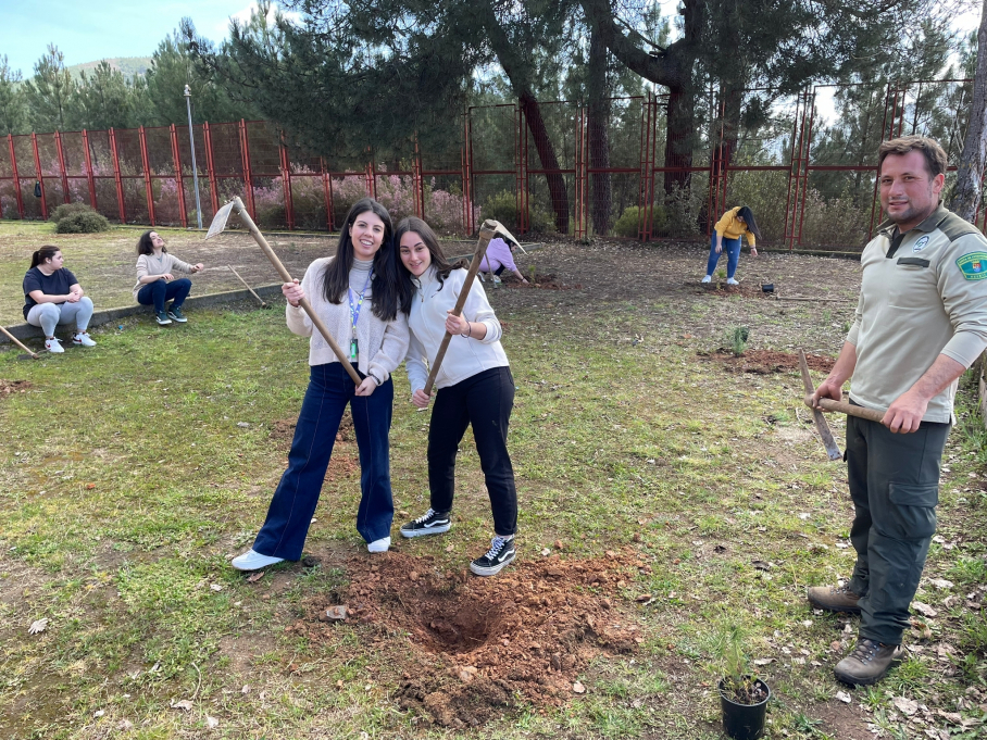 Reforestación en Las Hurdes
