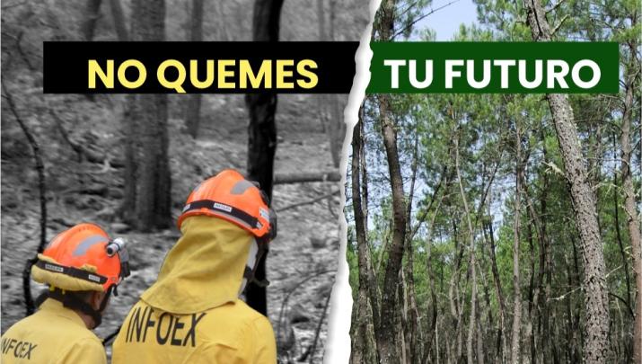 Campaña del INFOEX
