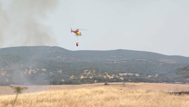 El Infoex activa nivel 1 de peligrosidad en un incendio forestal en el término municipal de Hornachos