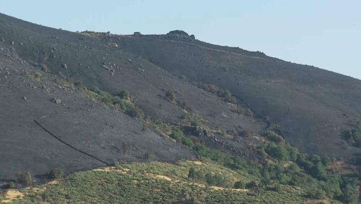 Paisaje tras un incendio en Extremadura