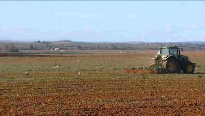 Un tractor trabaja el campo