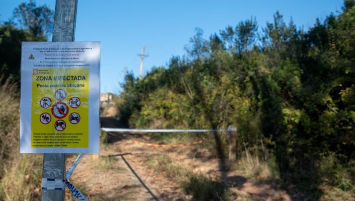 Zona en cuarentena por la Peste Porcina Africana en la sierra de Collserola