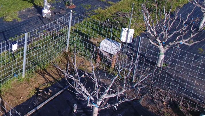 Riego en cultivos hortícolas