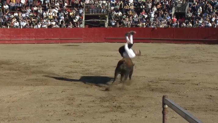 Saltos de recortadores en Coria