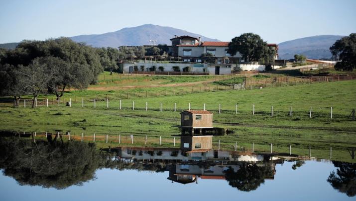 Paisaje de dehesa en la Sierra de Gata