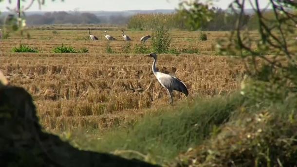 Zonas ZEPA de Extremadura