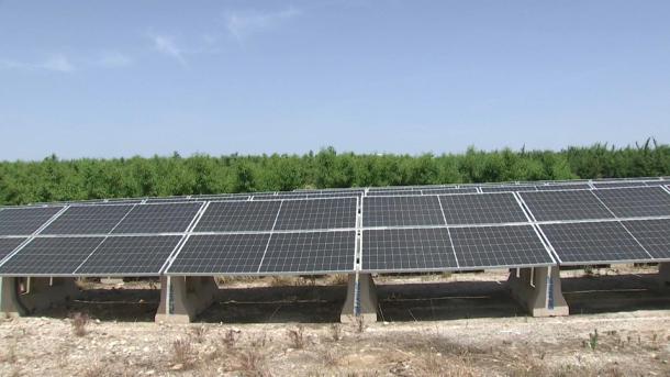 La Asociación de Agricultores y Ganaderos de Villanueva de la Serena denuncia un aumento de robos