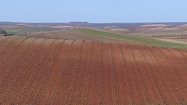 Tierra de Barros