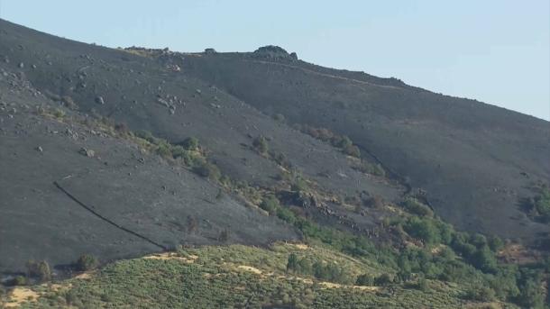Paisaje tras un incendio en Extremadura