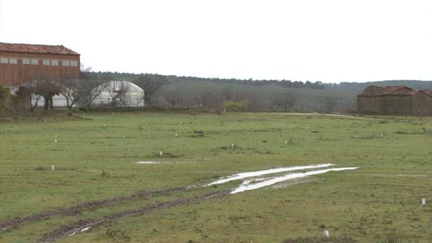 Explotación de la comarca de La Vera, en Extremadura, en enero de 2026