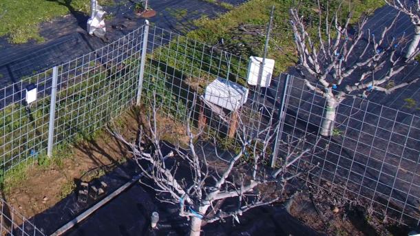 Riego en cultivos hortícolas