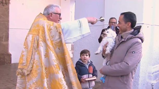 Bendición de animales el día de San Antón, en Ribera del Fresno