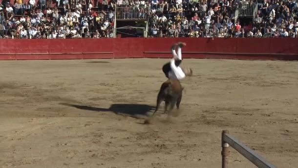 Saltos de recortadores en Coria