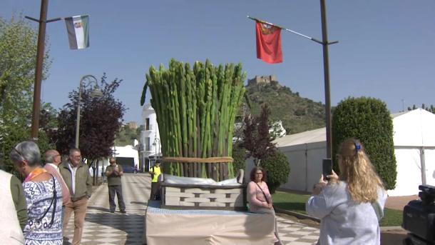 Burguillos del Cerro celebra la Feria del Espárrago
