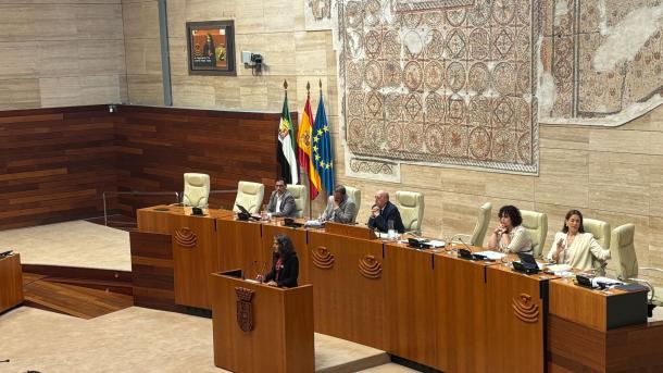 Irene de Miguel, portavoz de Unidas por Extremadura, en la Asamblea
