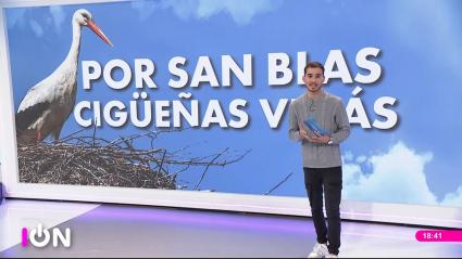 conexión extremadura 3 de febrero