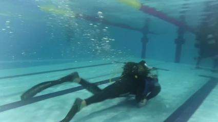 BUCEO