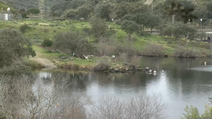 Cinco embalses de la cuenca del Tajo en Cáceres continúan aliviando con caudales significativos