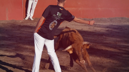 Arte en Extremadura, Recortadores, Tierra de Toros, Juan Bazaga