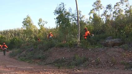 Extremadura desbrozará más de 2.000 hectáreas para prevenir incendios