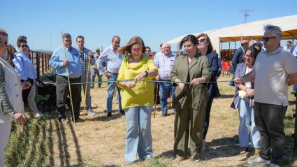 La consejera de Agricultura, Ganadería y Desarrollo Sostenible, Mercedes Morán, ha inaugurado este viernes la primera edición de la Feria de Ganado de Torremocha, evento al que ha calificado como "un testimonio del espíritu emprendedor y del profundo arraigo de esta tierra con la actividad ganadera".  Morán también ha destacado la "importancia fundamental" del sector ganadero para la economía, el mantenimiento del mundo rural y la vida de muchas familias extremeñas.  Por ello, ha felicitado al Ayuntamiento 
