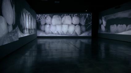 Exposición de Santiago Sierra en el Museo Helga de Alvear