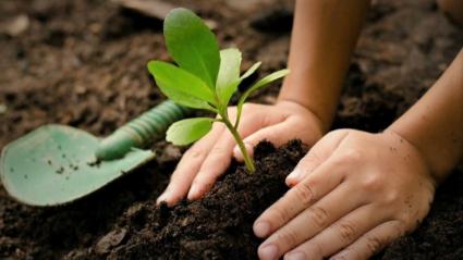 Agroecología
