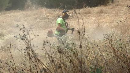 Operario llevando a cabo tareas de desbroce en Badajoz