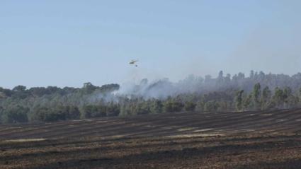 El incendio en Badajoz obliga a desalojar viviendas aisladas de manera preventiva