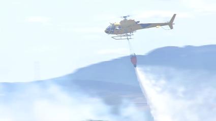 WWF pide al Gobierno que apruebe el Real Decreto con criterios comunes en CCAA para prevenir incendios forestales