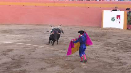 Cuadrillas, Tierra de Toros, 