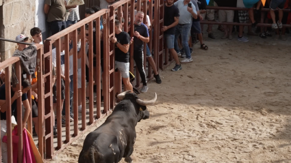Pasaron de la Vera, Festejo Popular, Tierra de Toros