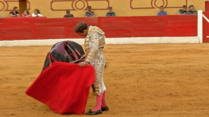 INdulto Ferrera Barcarrota, Tierra de Toros, Juan Bazaga, Canal Extremadura