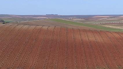 Tierra de Barros