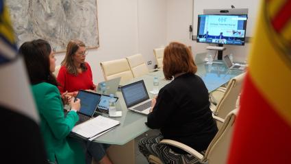 Sara García Espada ha estado presente en la reunión por videoconferencia