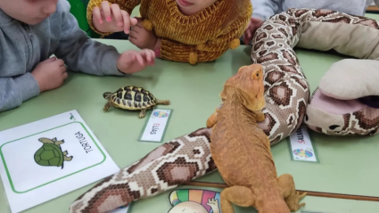 Mucho Bicho animal exótico