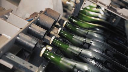 Botellas de cava en una embotelladora