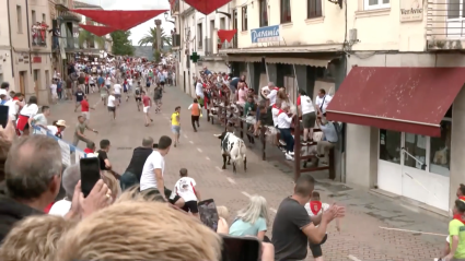 Festejo popular, Tierra de Toros, Canal Extremadura, Juan Bazaga