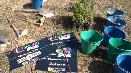 Plantación de árboles en Pescueza tras el Festivalino
