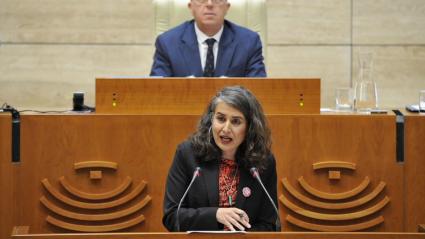 Irene de Miguel, portavoz de Unidas por Extremadura, en la Asamblea