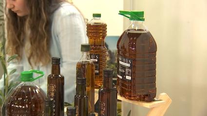 Botellas de aceite de oliva de la Feria del Olivar y del Aceite Ecológico de Almendral en una imagen de archivo