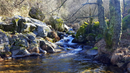 charcas verdes hervás