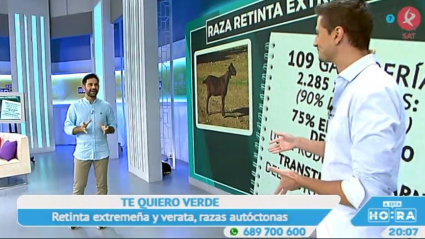 Te quiero verde: la cabra extremeña