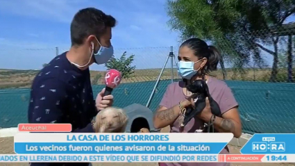 Perros hacinados en Mérida