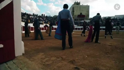 Albero de la plaza de toros de Barcarrota