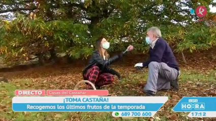 Cogiendo Castañas