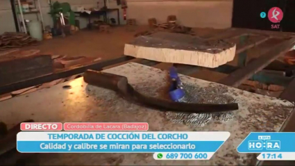 El corcho de Cordobilla de Lácara