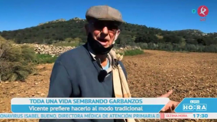 Vicente siembra garbanzos